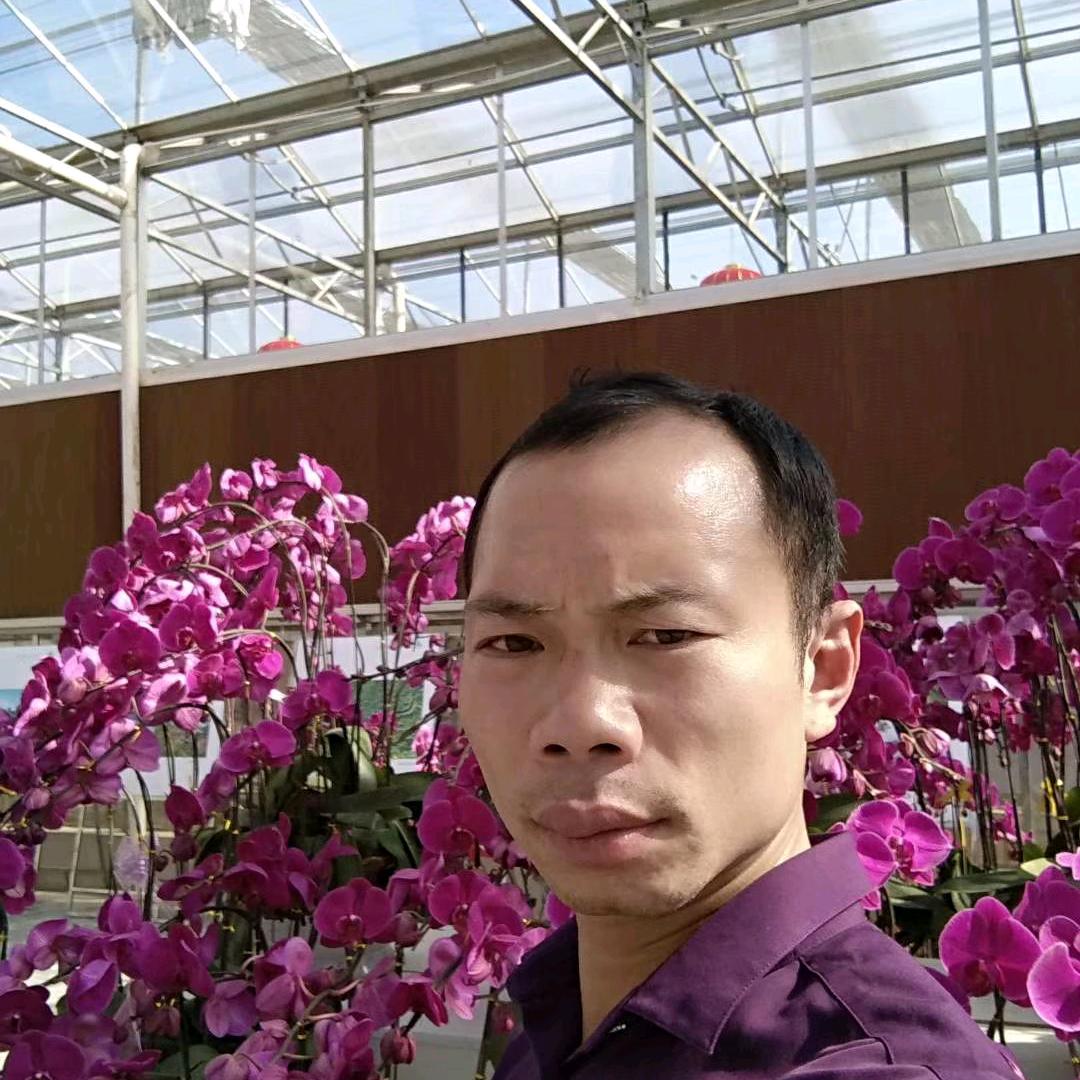 花与云与雨