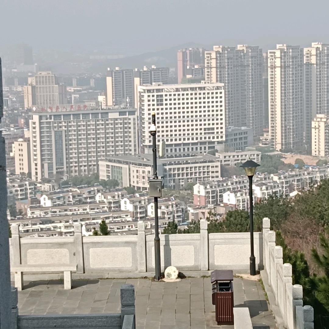 戴呢眉