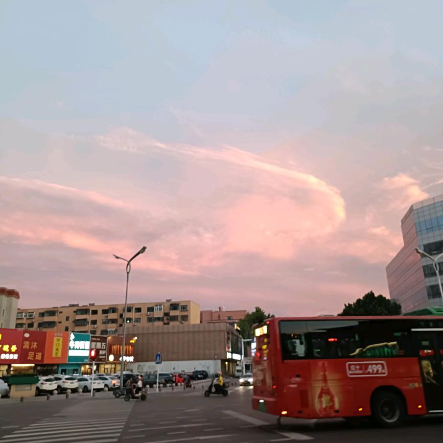牛牛