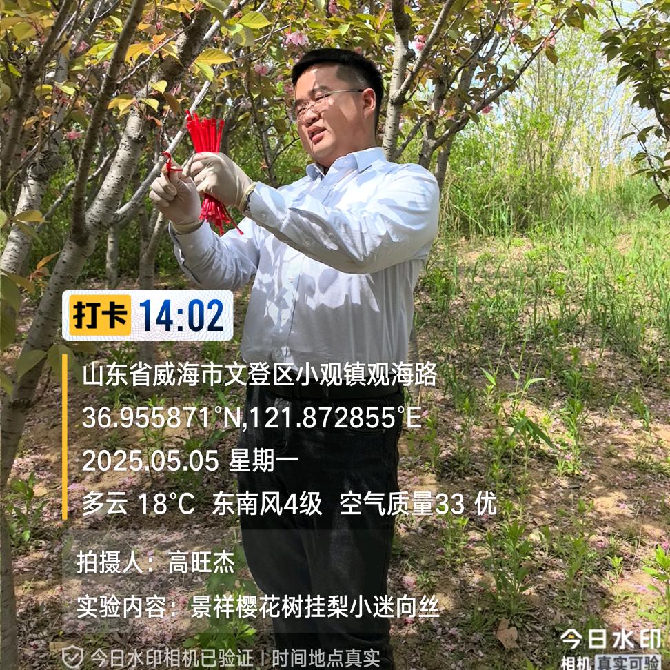 新元果业高旺杰