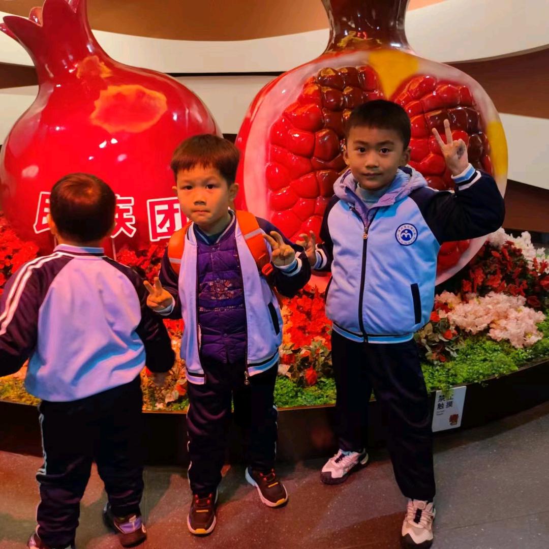百事乐TAO