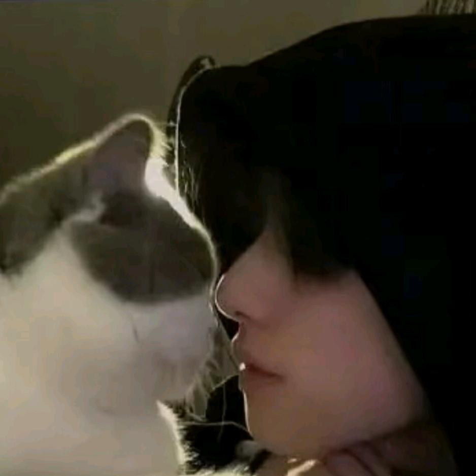老毒