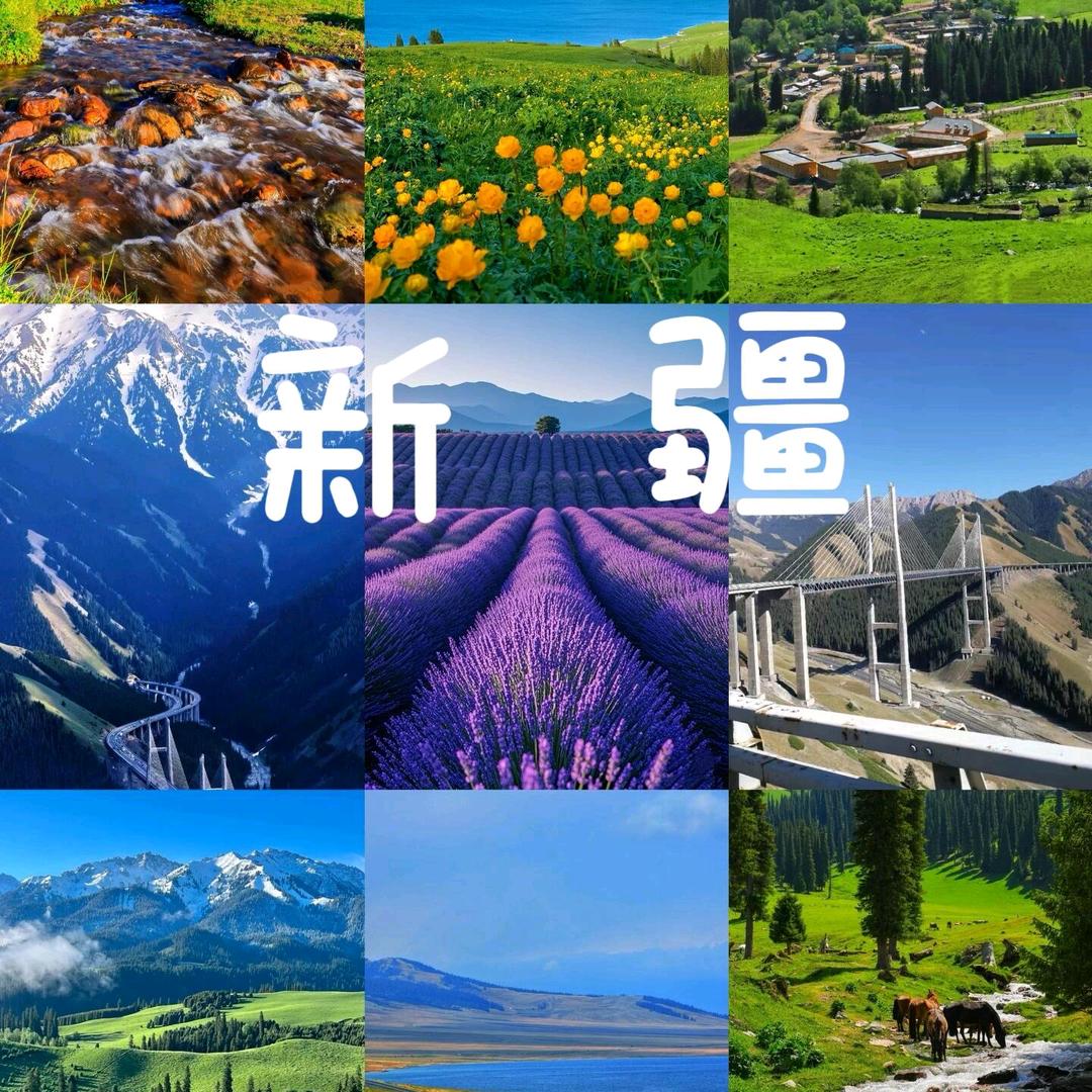 城优菲