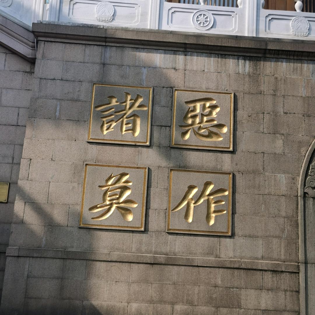 执念🍋
