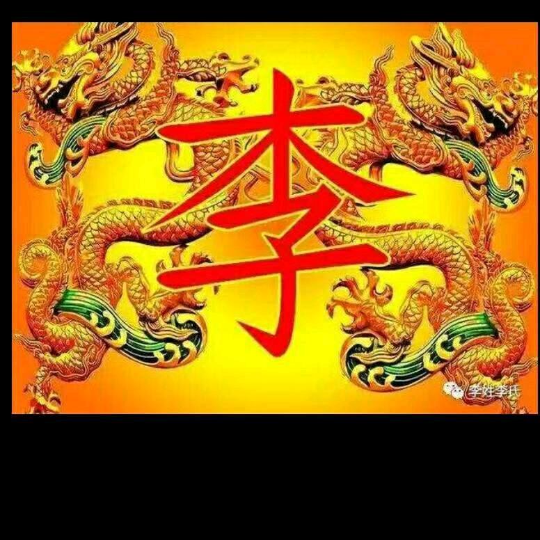 一只鹰