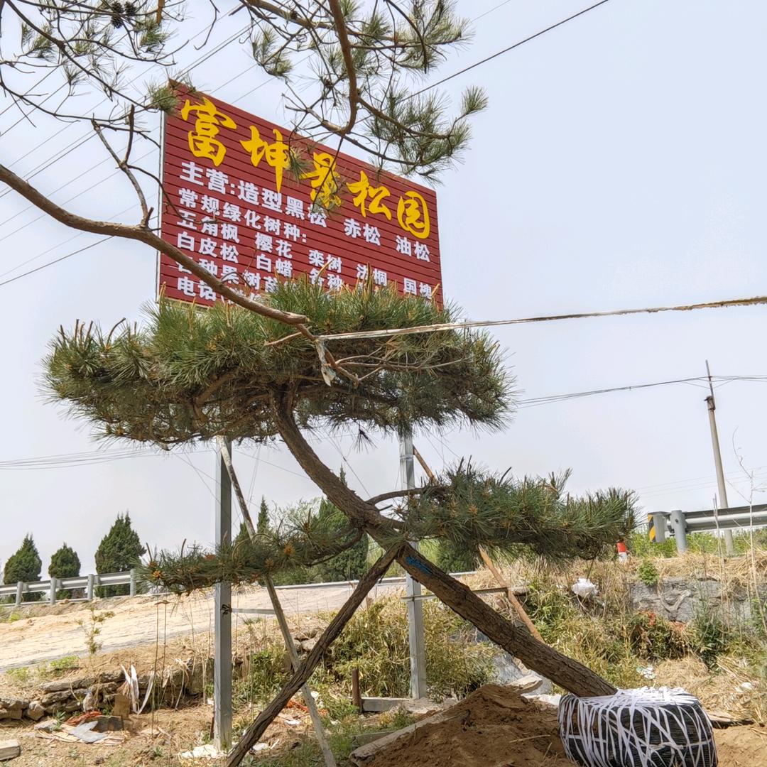 富坤景松园