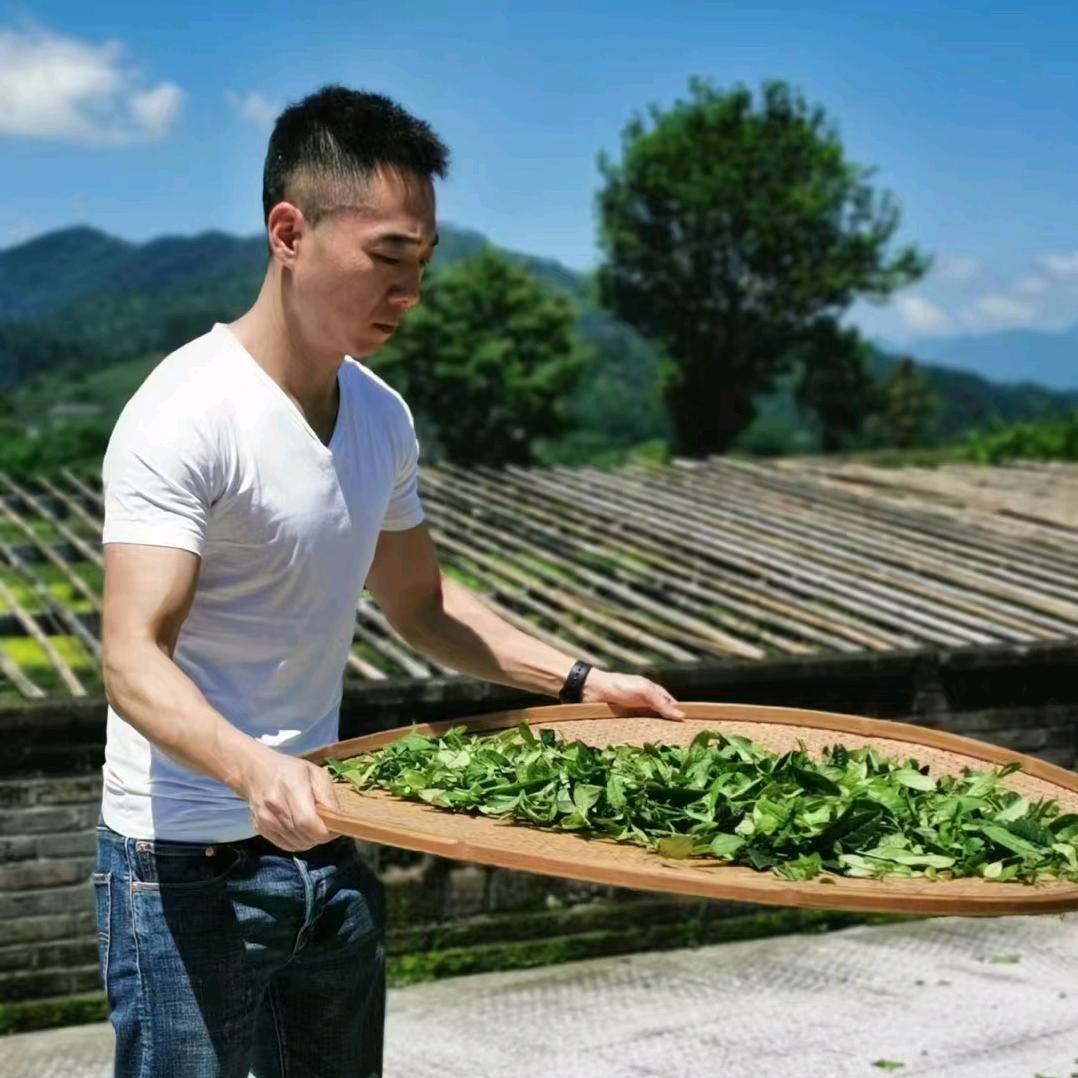 赫世茶业