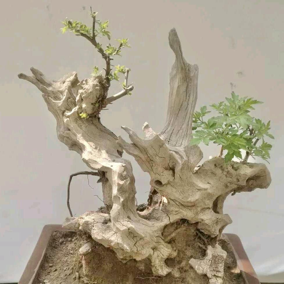 柴良好物铺