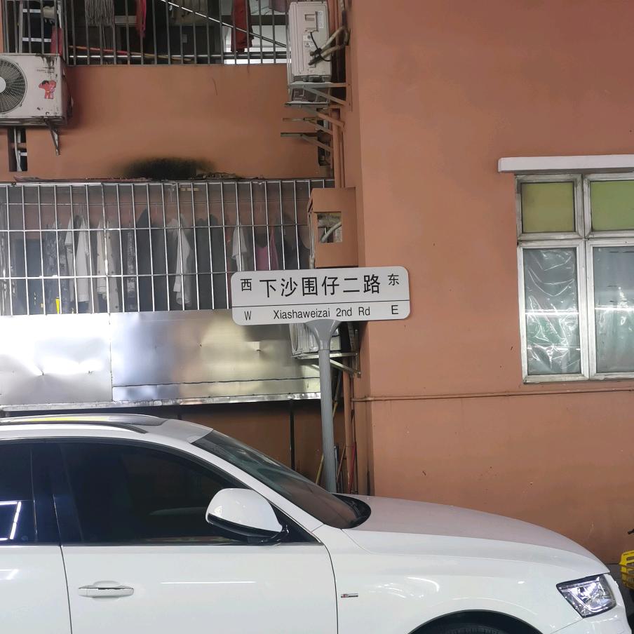 小猫淘淘