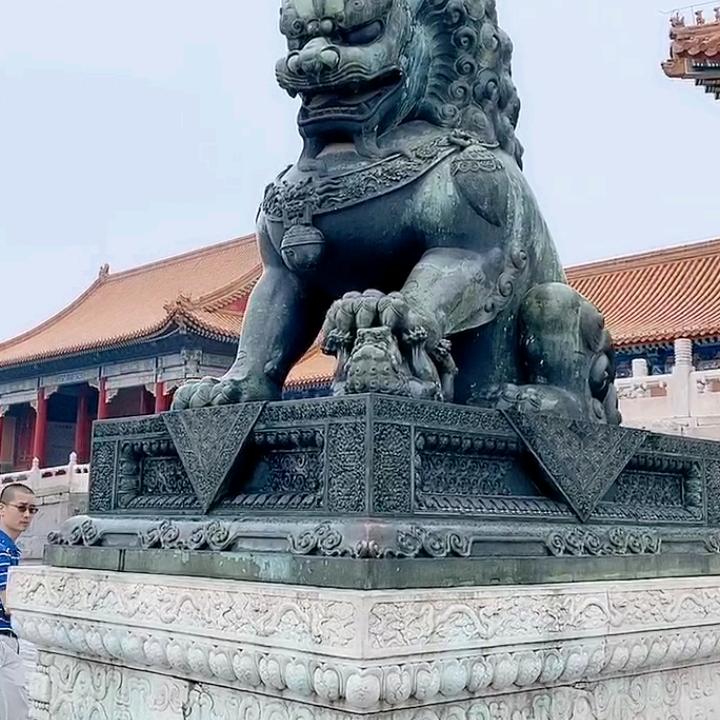 白杨