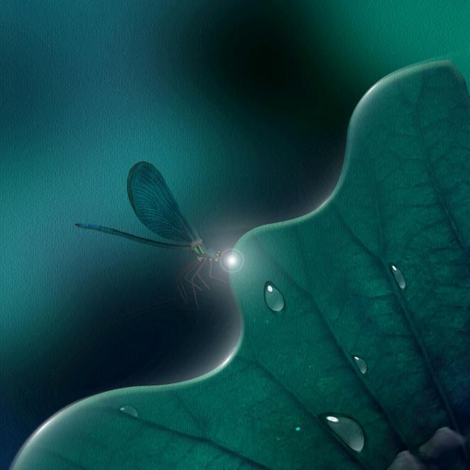 戚戚