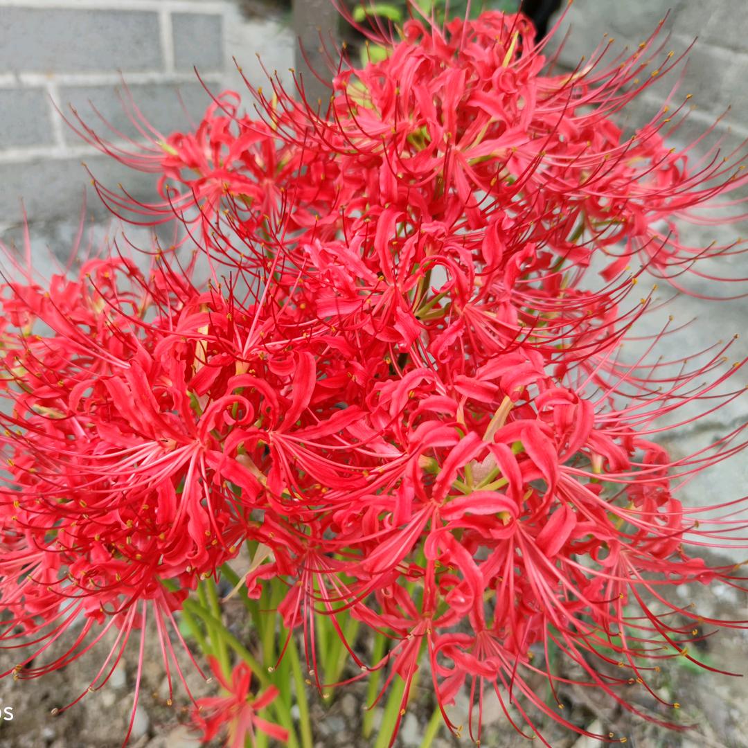 八零后