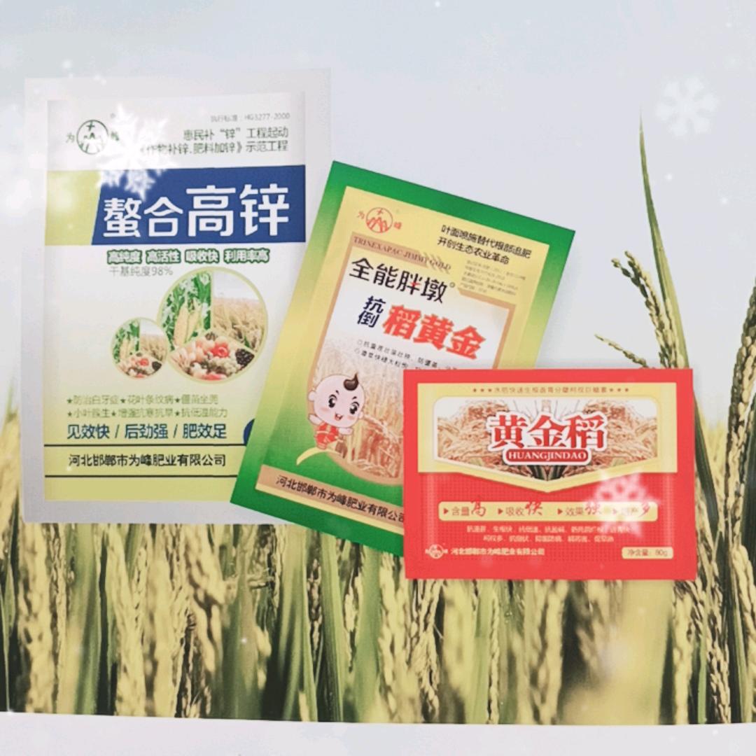 爱拼