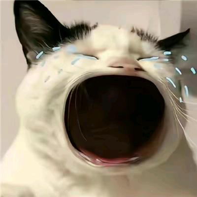 啊坤短剧