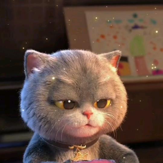 治愈猫