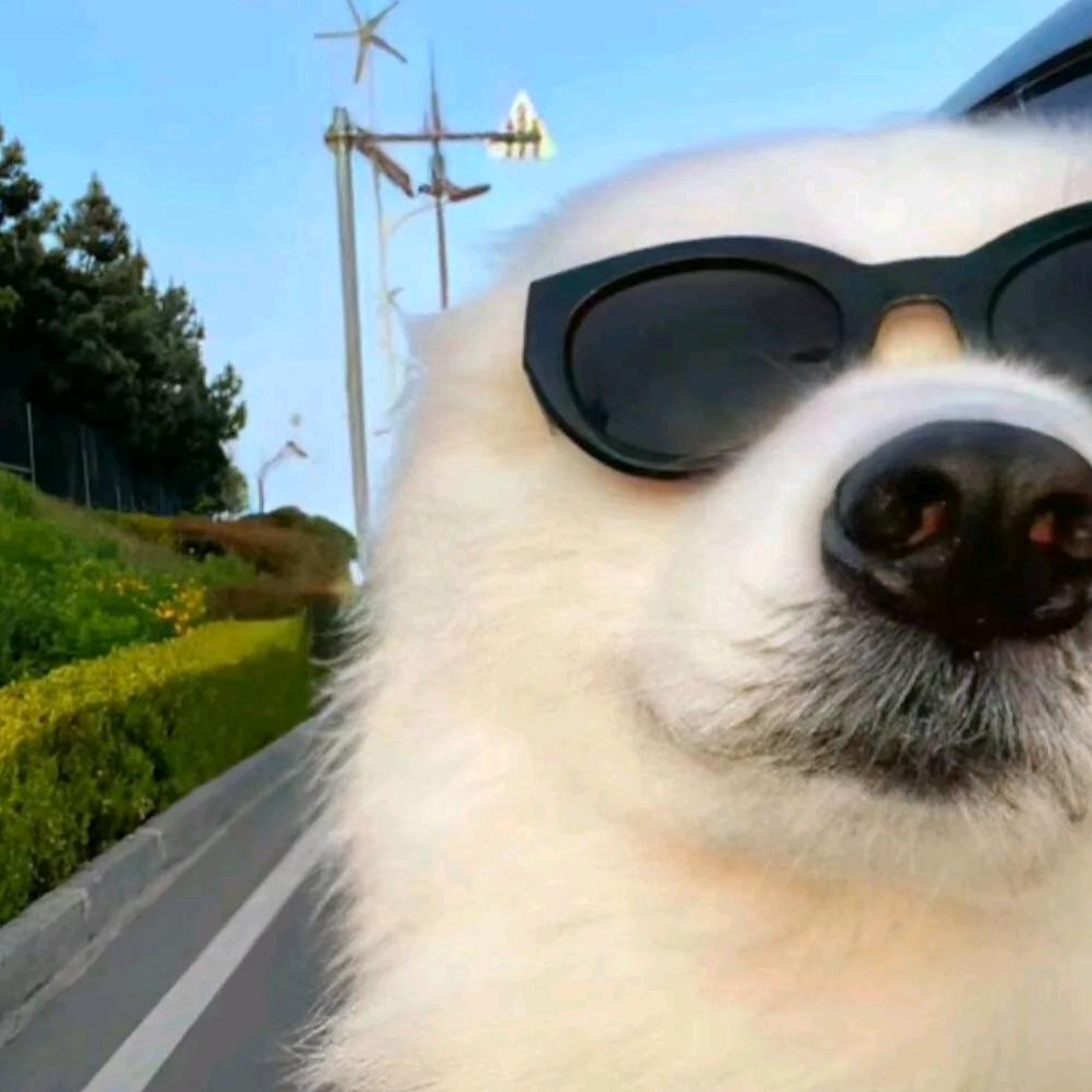 三角州风向（跑刀战神）