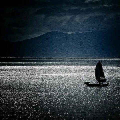 沉舟侧畔千帆过