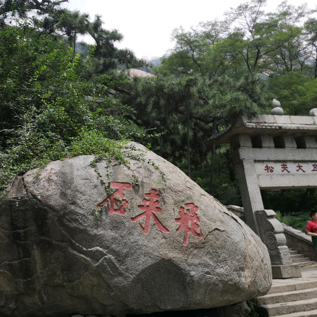 典典与宁宁