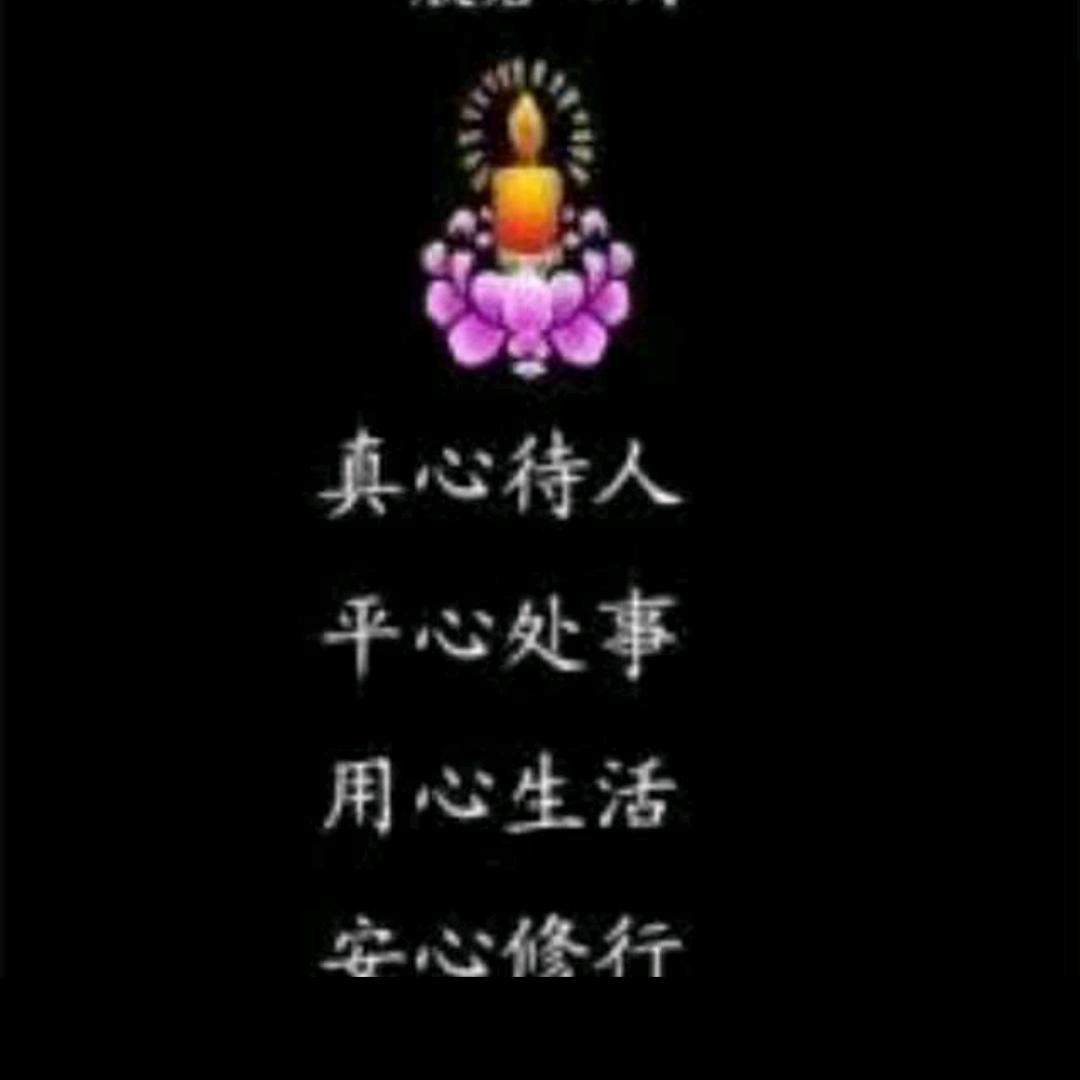 钉耙山古树茶  光头