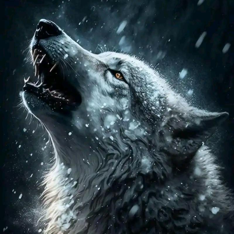 半个灵魂丶¹¹¹¹  在空中