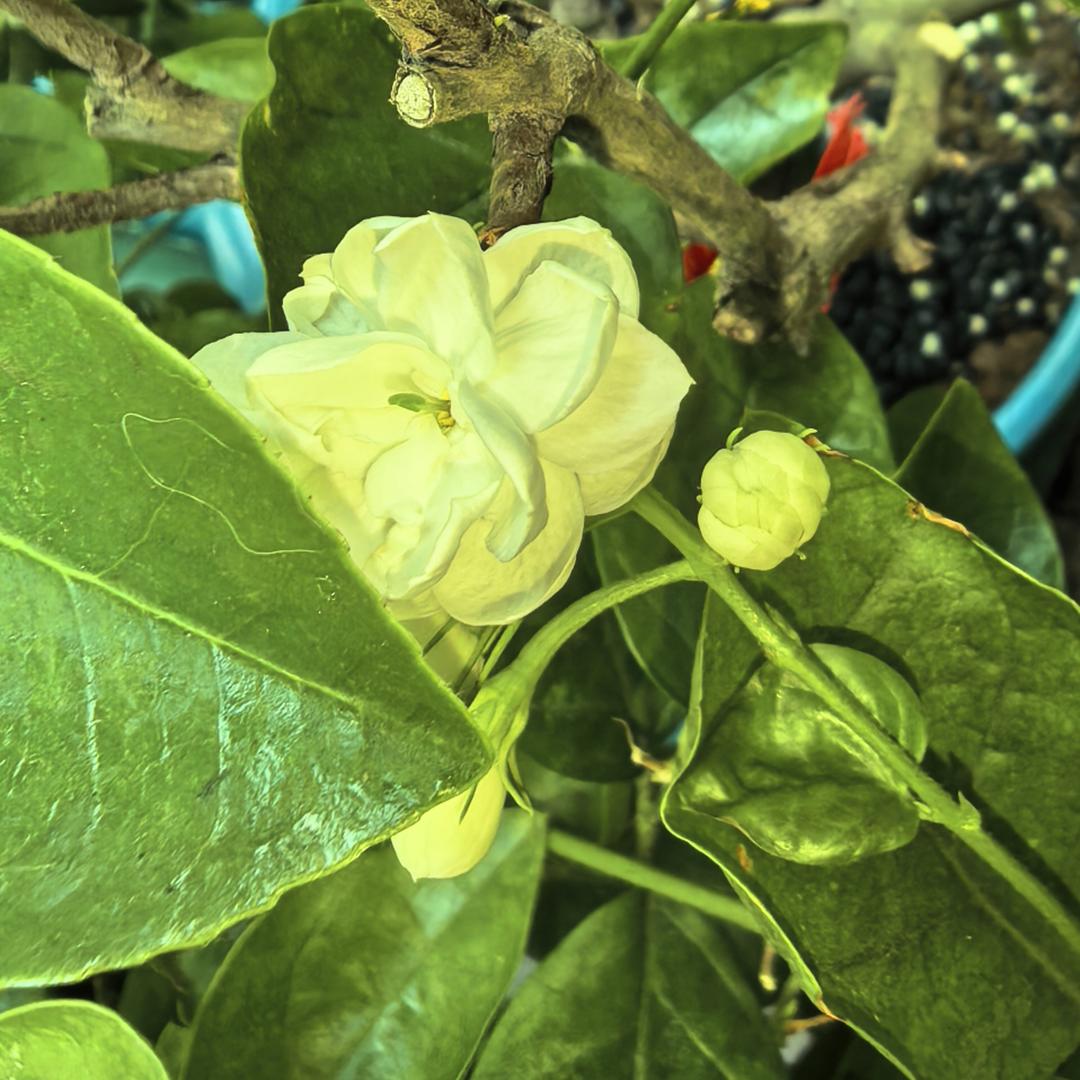 沐尽梵天云雨寂