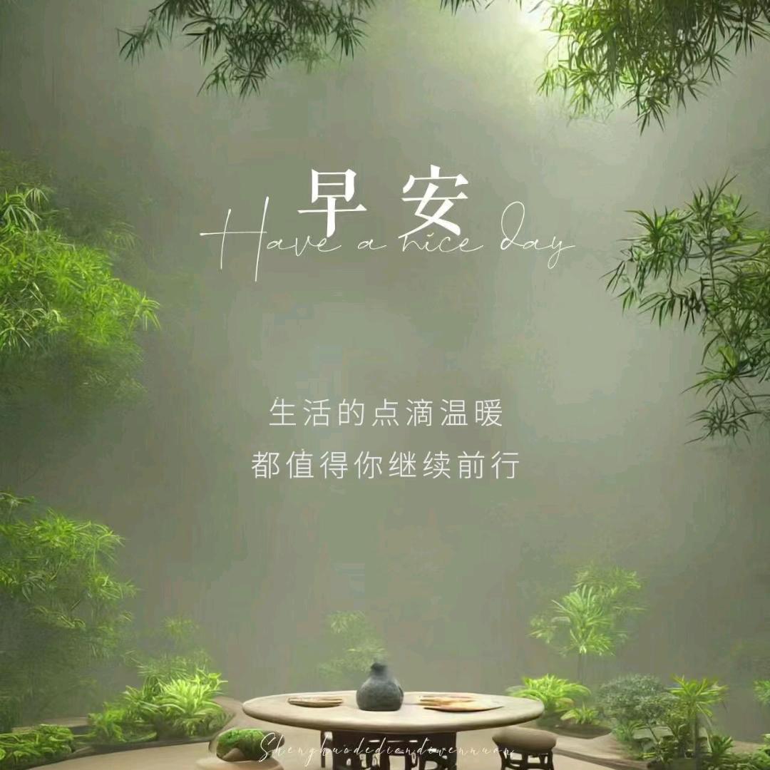 壹招半式走江湖