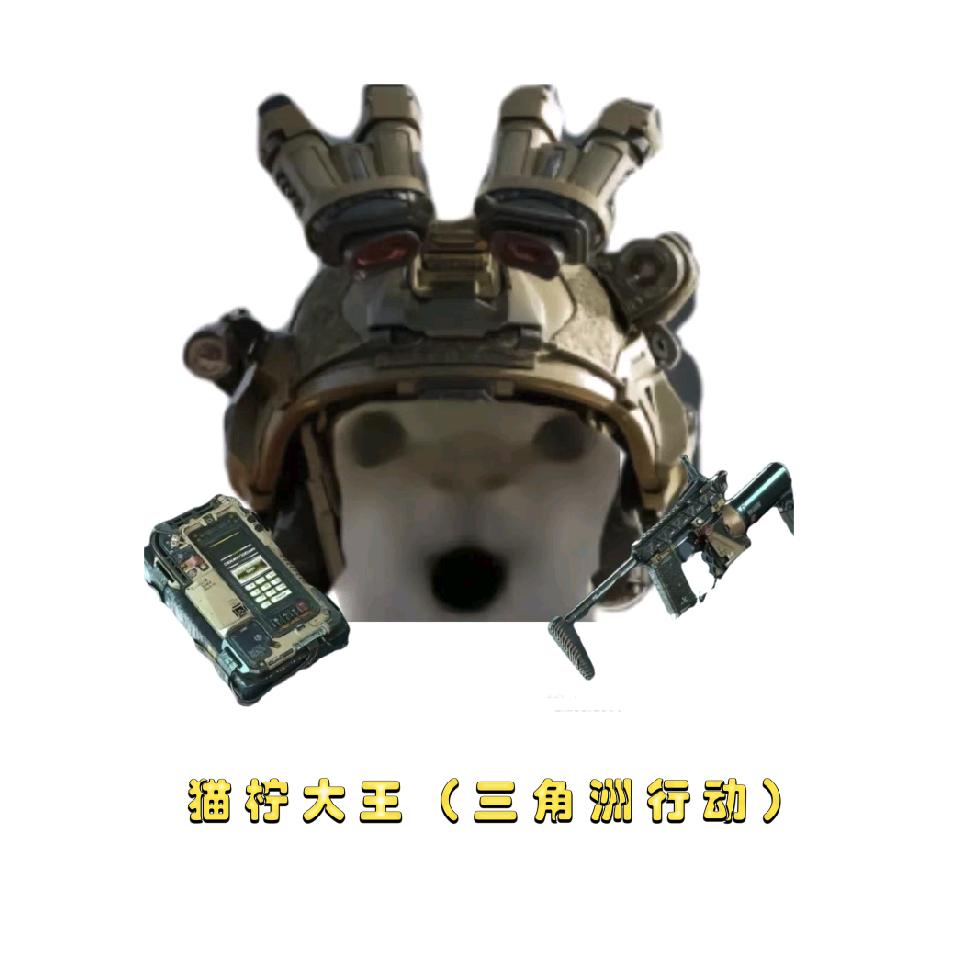 龙鼠峰（三角洲行动）