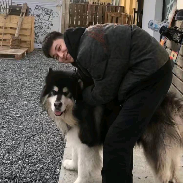 理想
