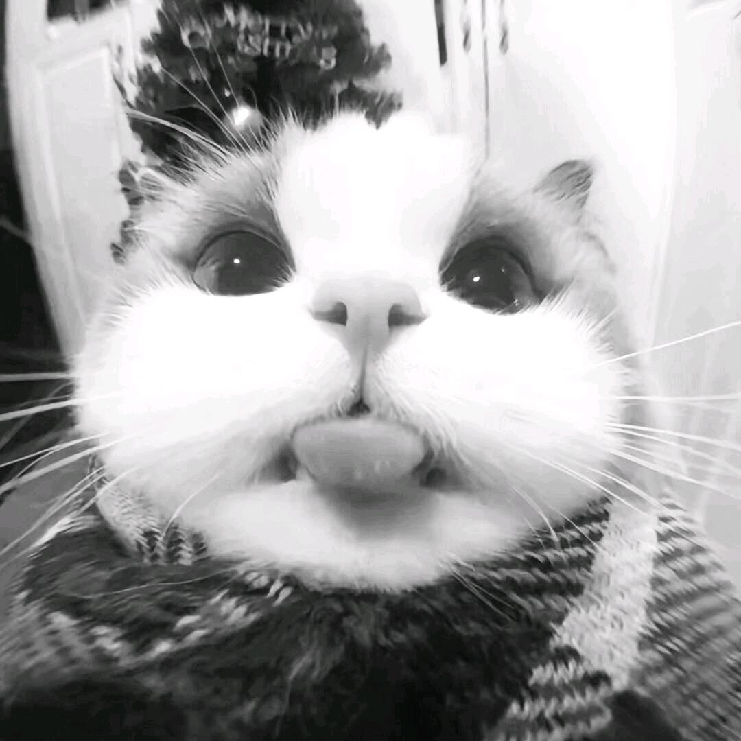 匡也很无奈.