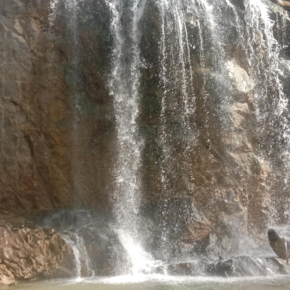 泪无声，花有情一(愿得一！！！)