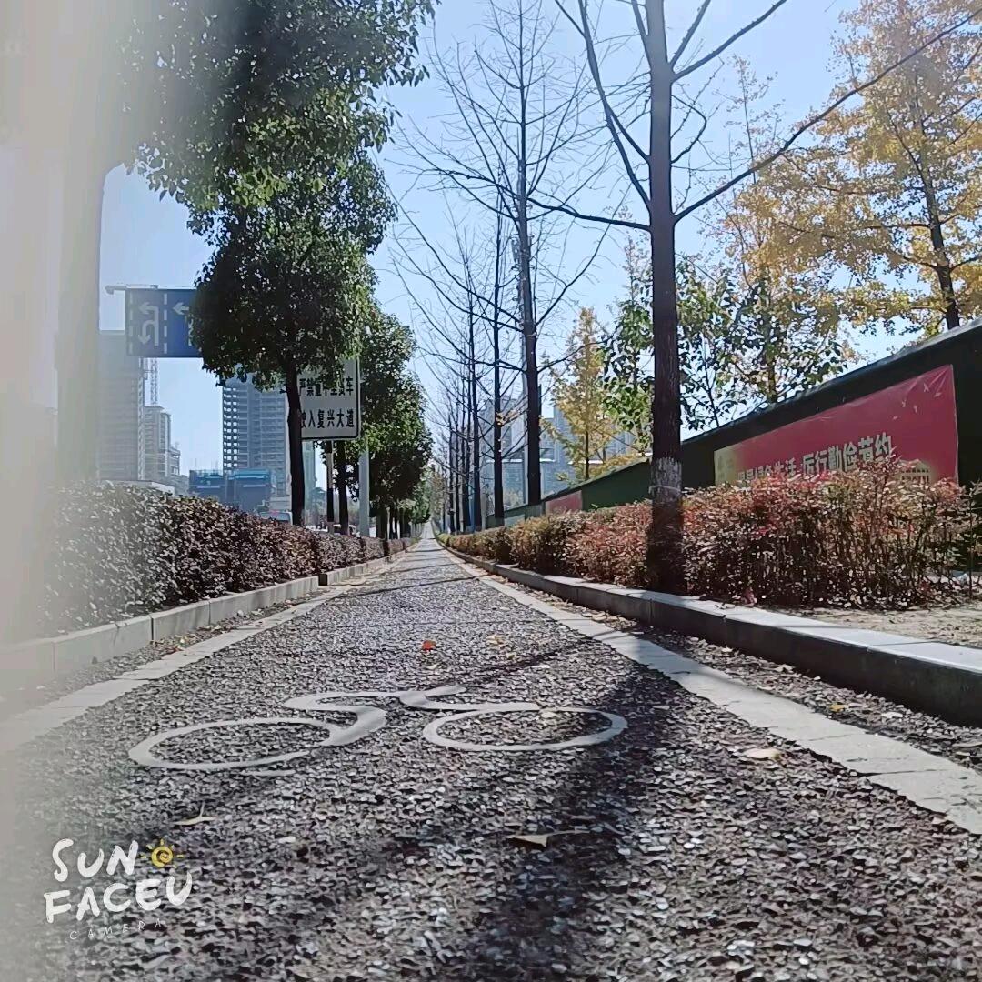 ❀˳꒰*❀半颗糖❀˳꒰*´