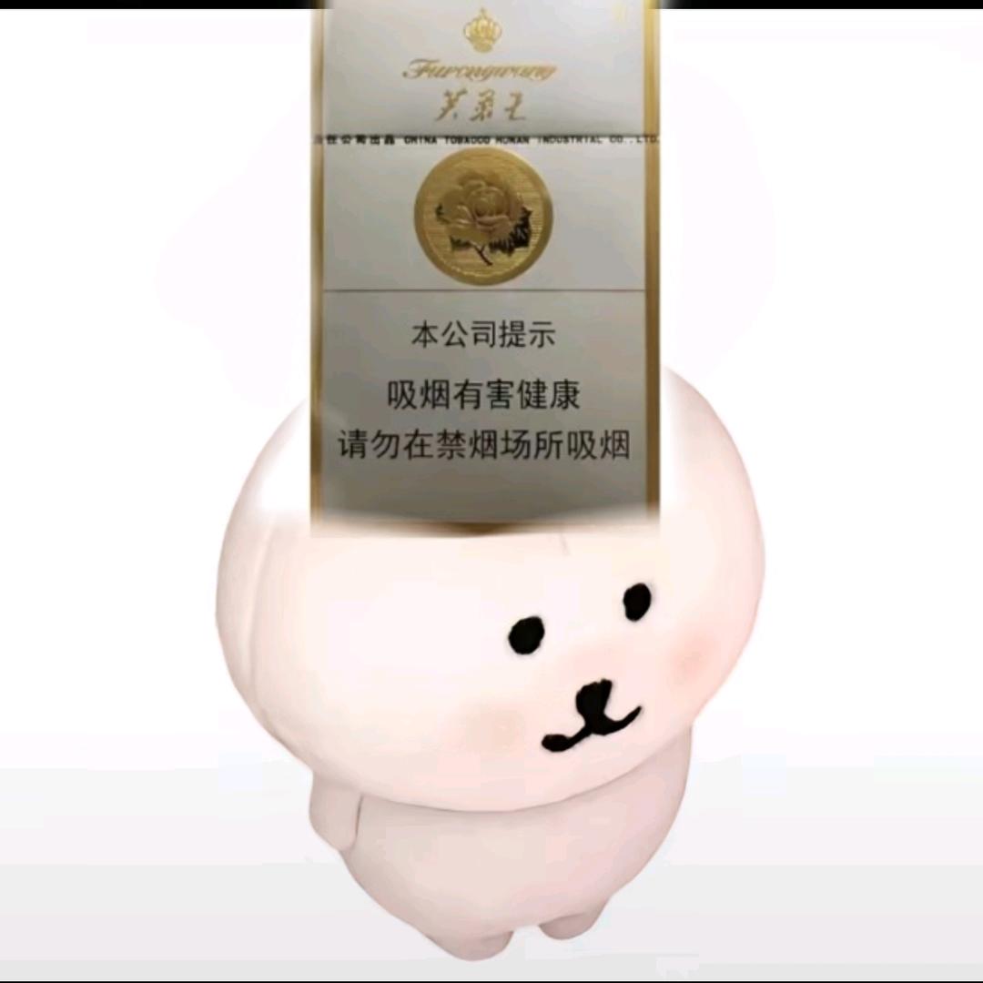 FaGaoDaDaDa(见过王源版)