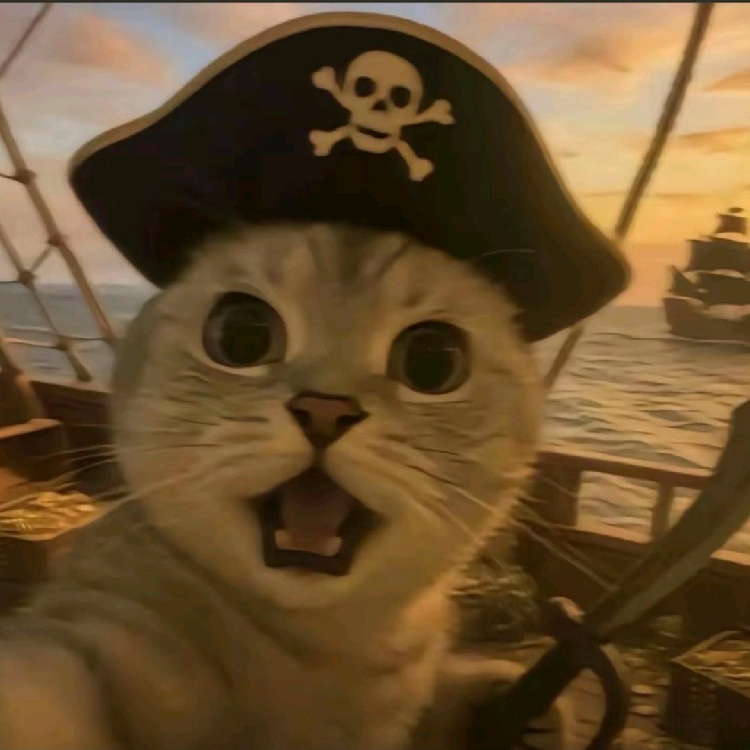 皮蛋solo粥（东东电竞三角洲考官）