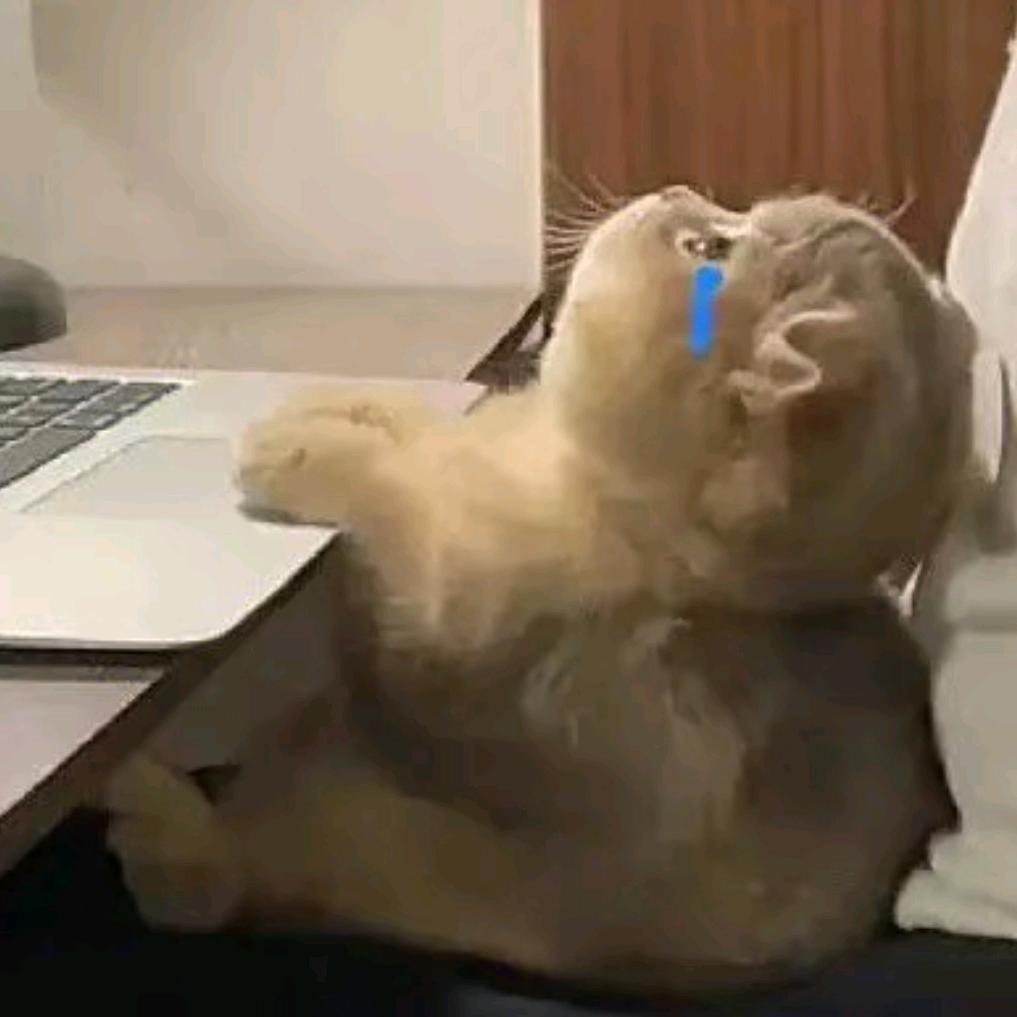 不要香菜，谢谢