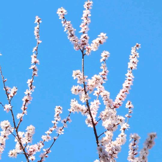 光而不耀