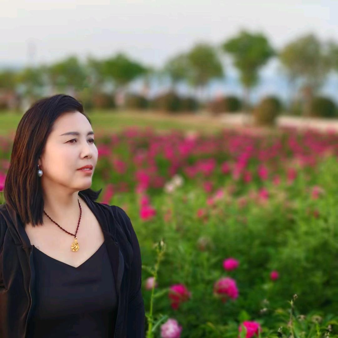 梦中蝴蝶