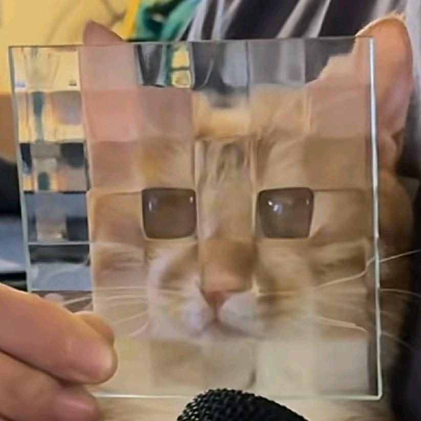 吴树　　　　　　　　　🪳