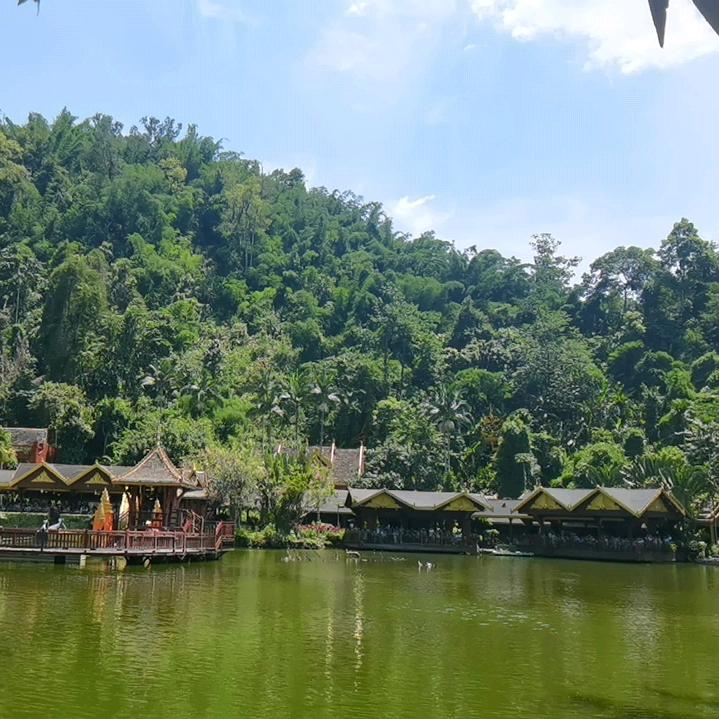 杨杨杨头像