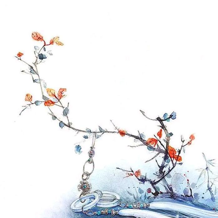 小知知