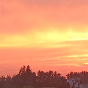 ໑ຼₒ₂₄ღ᭄幸运星🦋꧔ꦿ