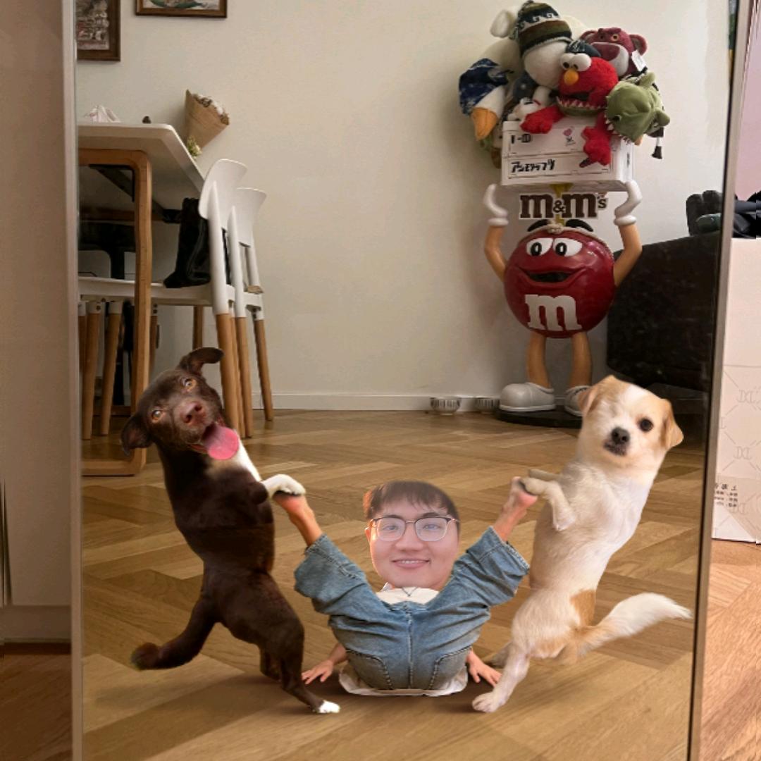天蛋