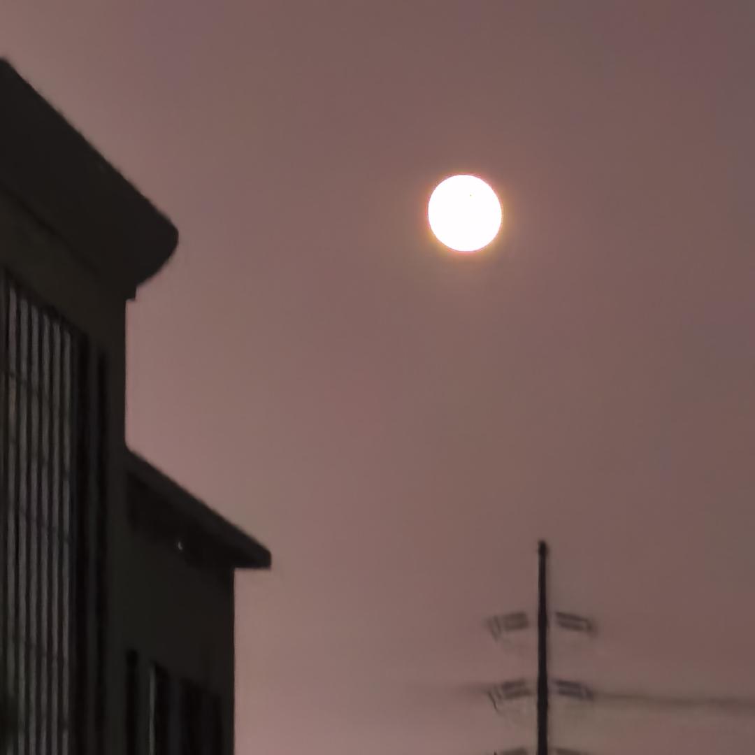 🏊不会游泳🏊