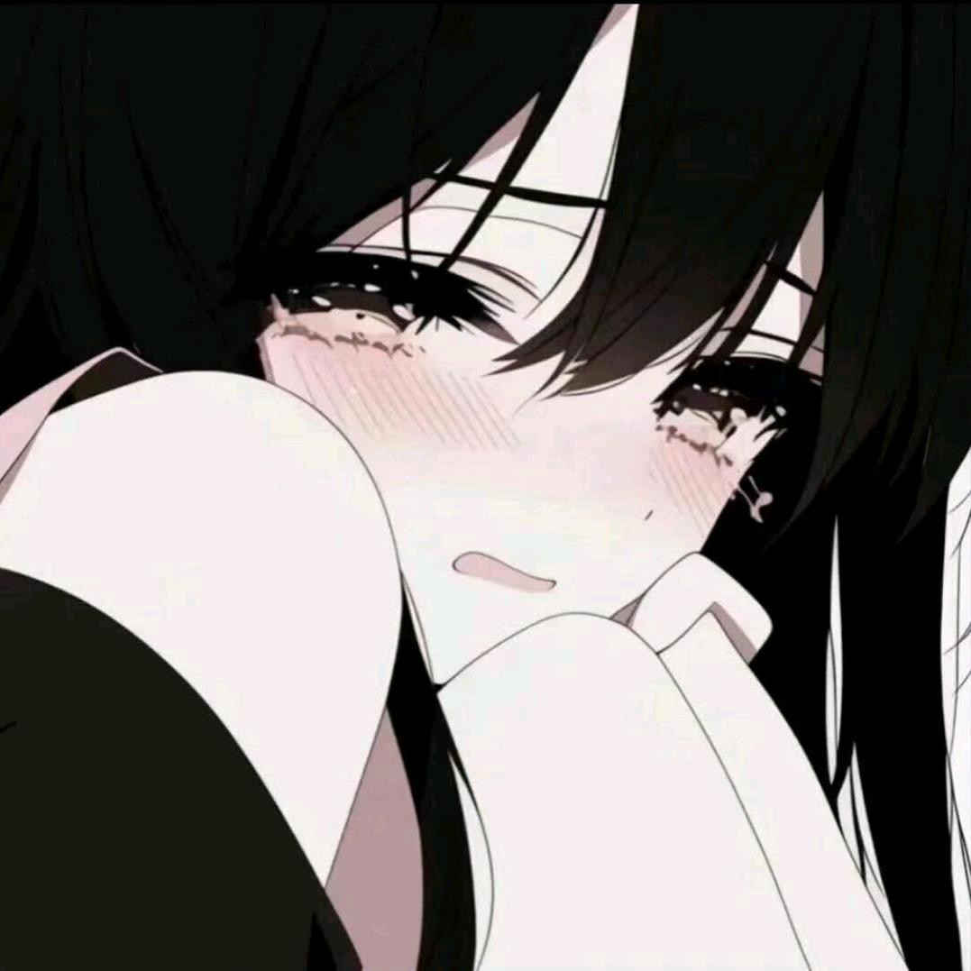 月崽.