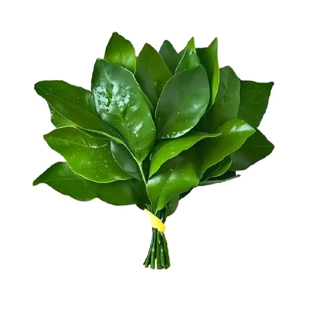 爆拳丸子