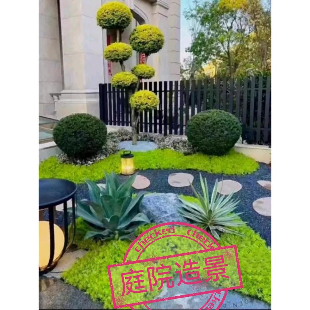 抚州花卉苗木草坪基地
