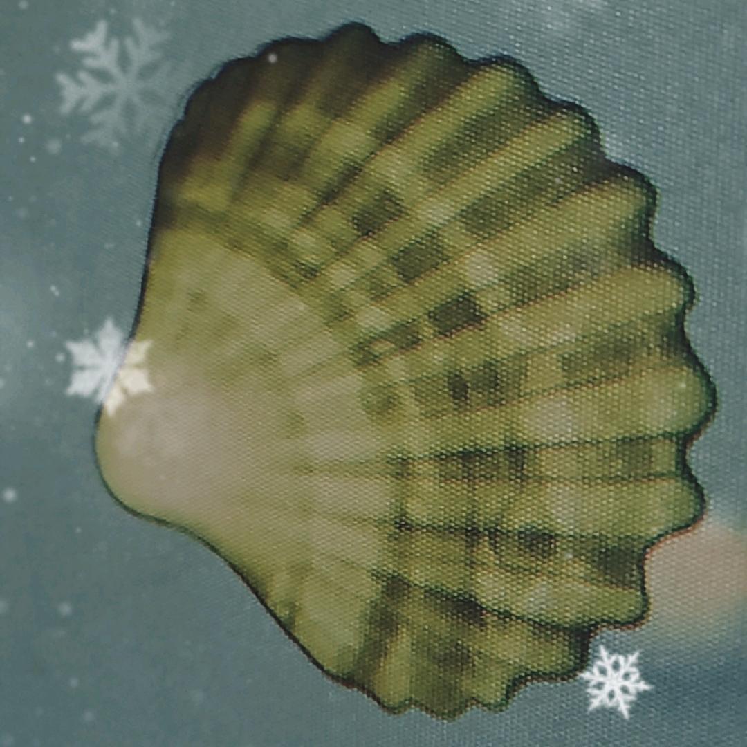 ♥心寄予风中☀🌻💐