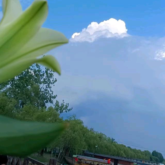 底波拉