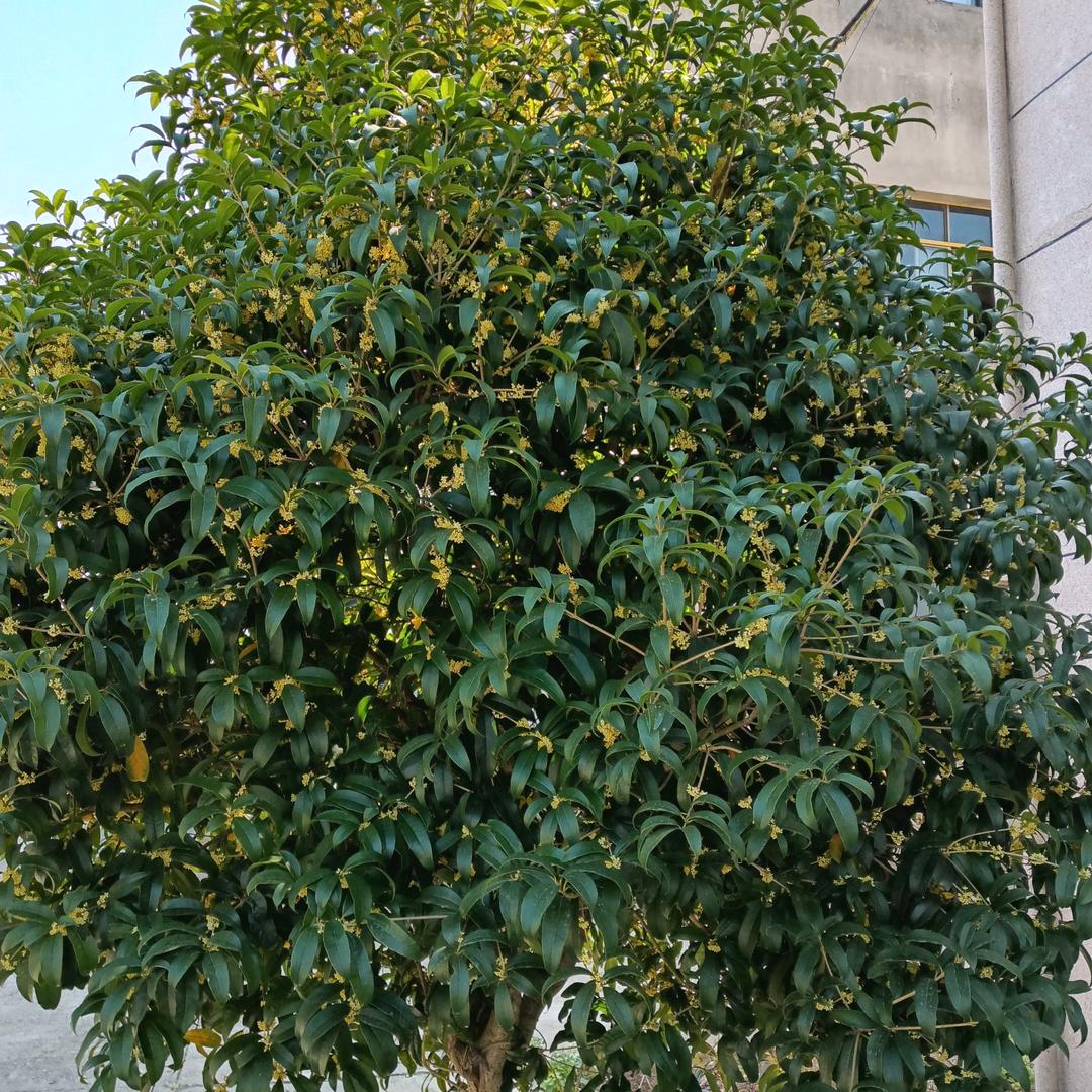 一年比一年好