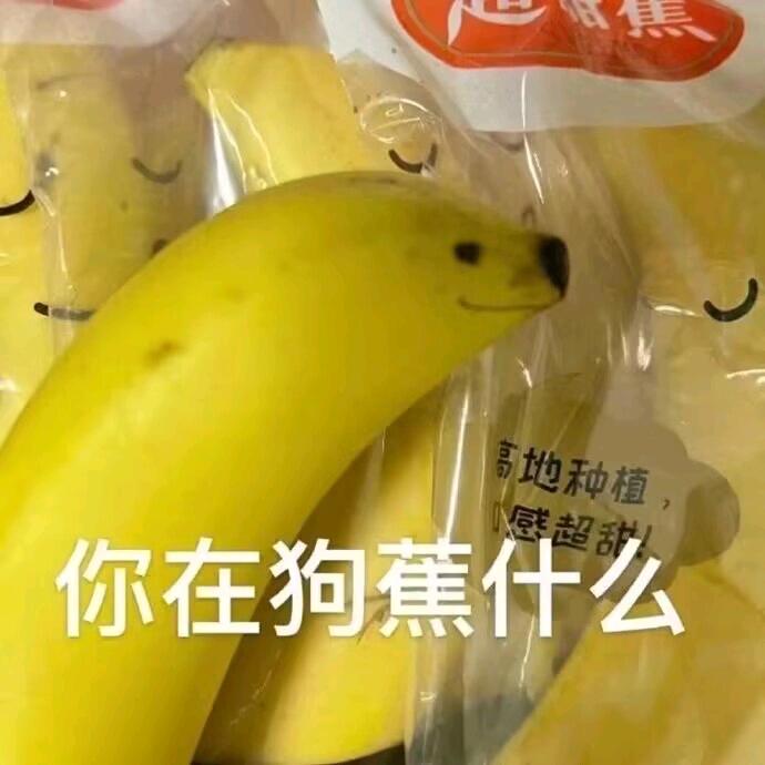 伊丽莎白讷世
