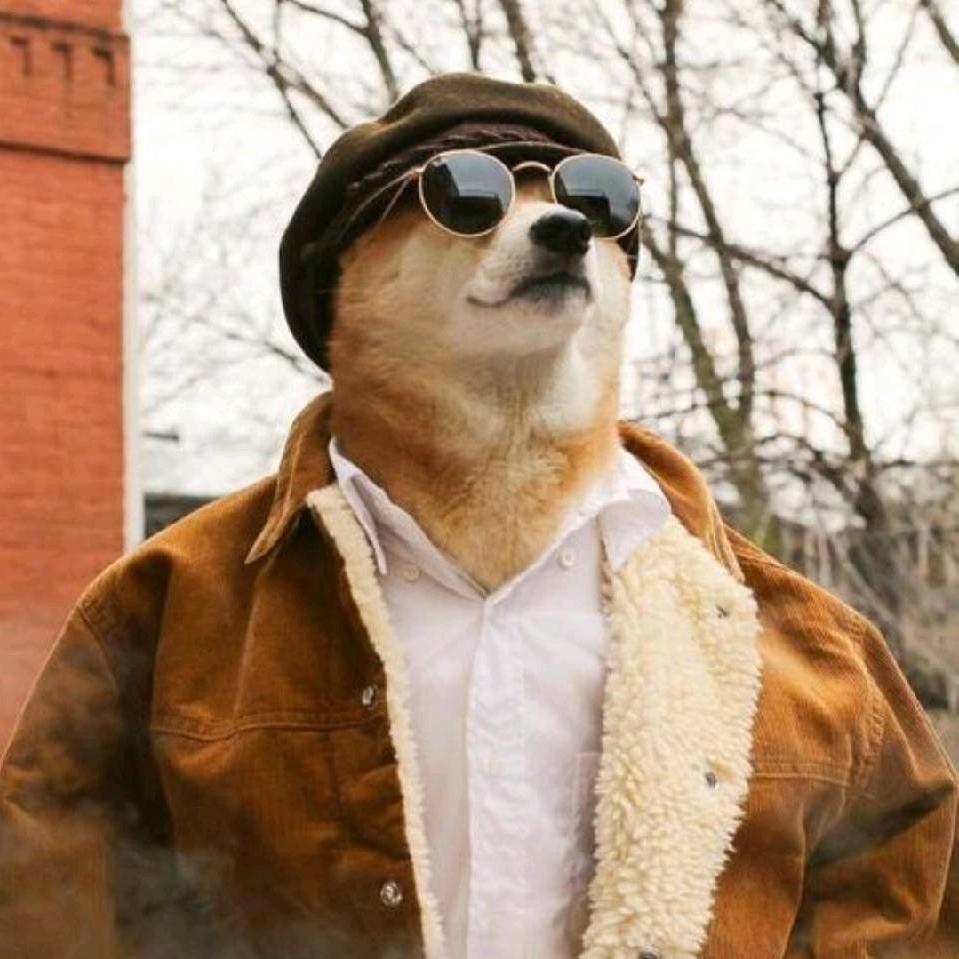 。。。。。。。